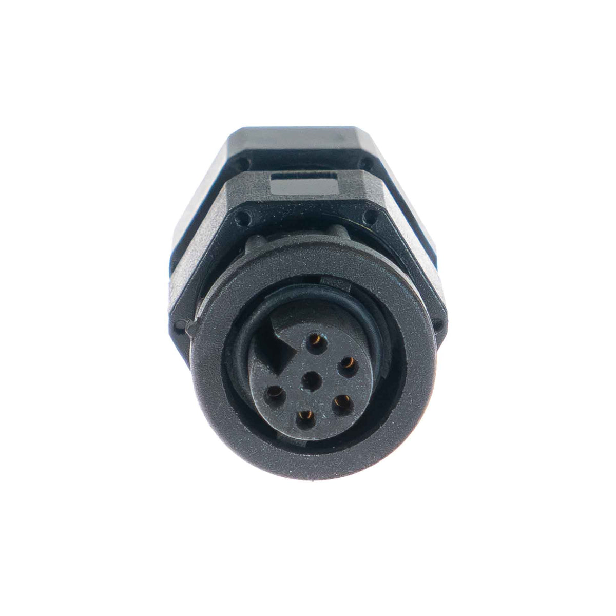Plug (CANF)